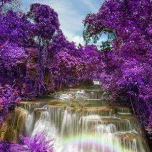 Meet your Posher, Vickie